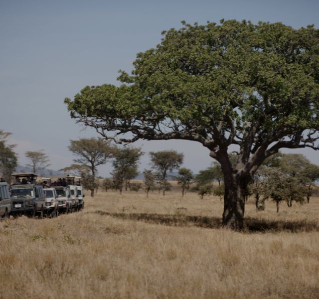 2-Day Masai Mara Overlanding Safari